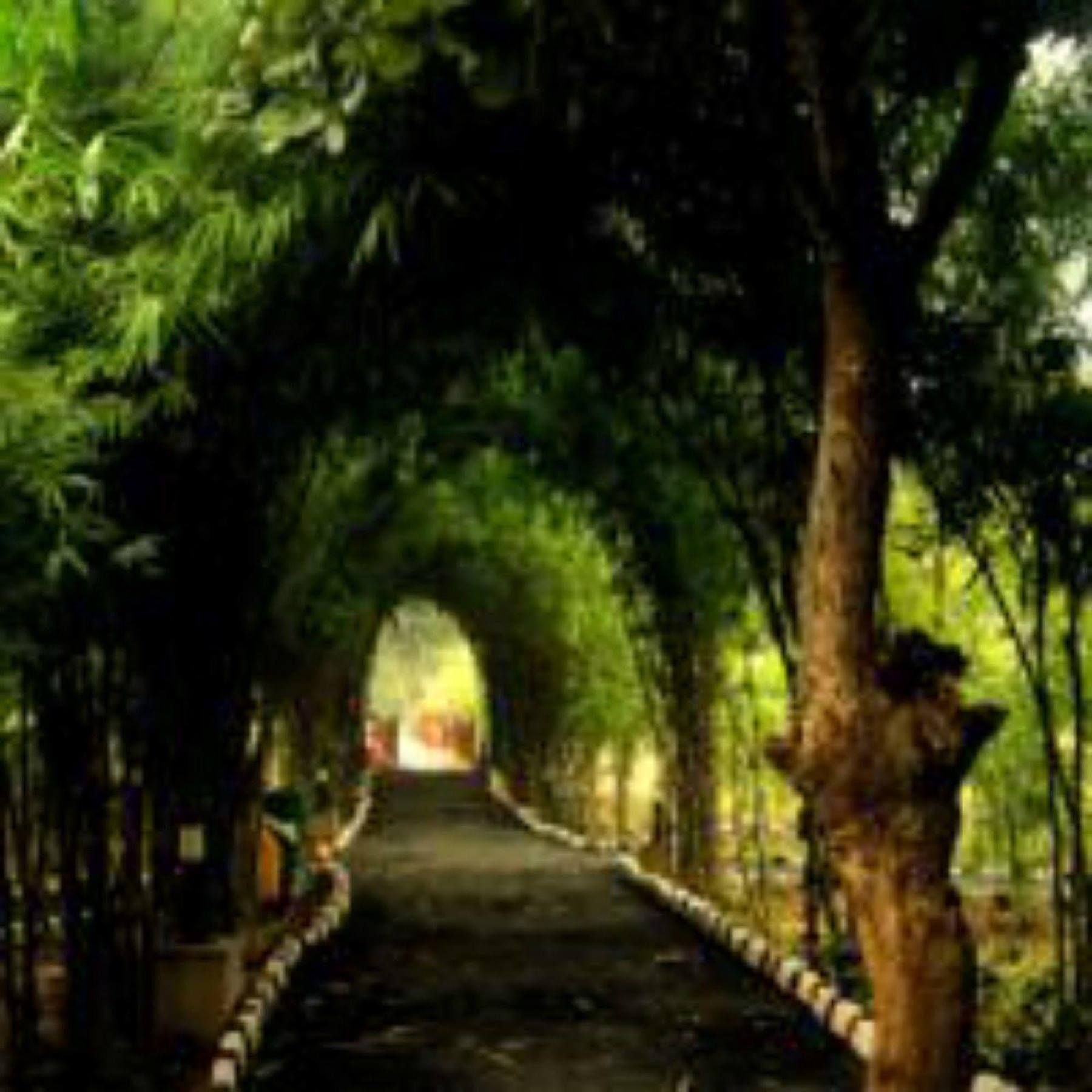 Lemon Tree Wildlife Resort, Bandhavgarh Tāla Buitenkant foto